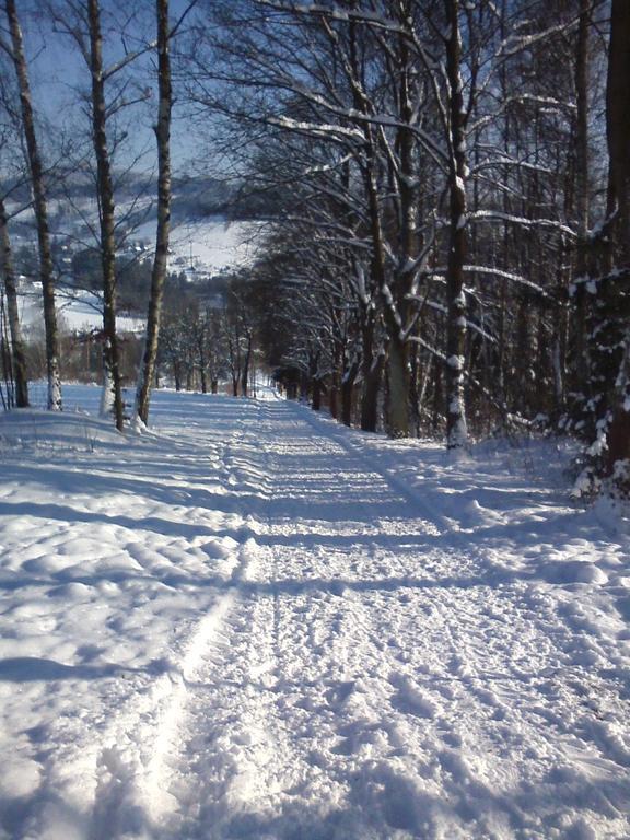 Privat Pohoda Paseky nad Jizerou Exteriör bild